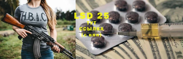 тгк Абинск