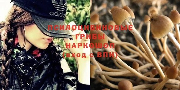 гашиш Абаза