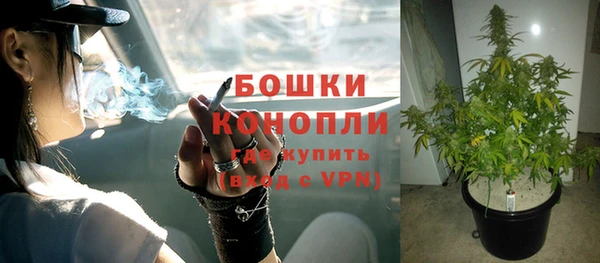 гашик Горняк